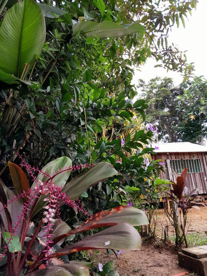 Casa Do Xingu Apartment Leticia Ngoại thất bức ảnh