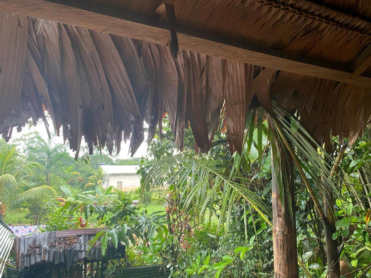 Casa Do Xingu Apartment Leticia Ngoại thất bức ảnh