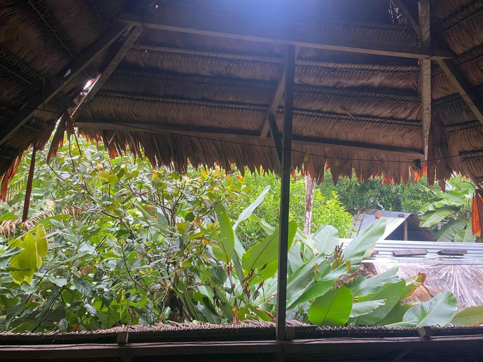 Casa Do Xingu Apartment Leticia Ngoại thất bức ảnh