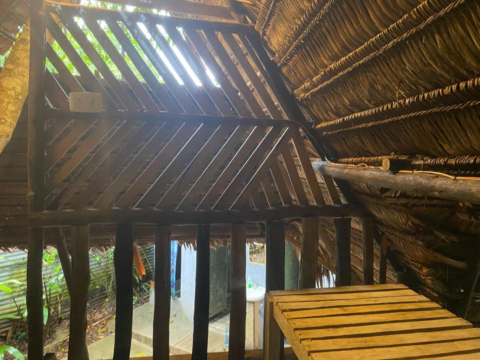 Casa Do Xingu Apartment Leticia Ngoại thất bức ảnh