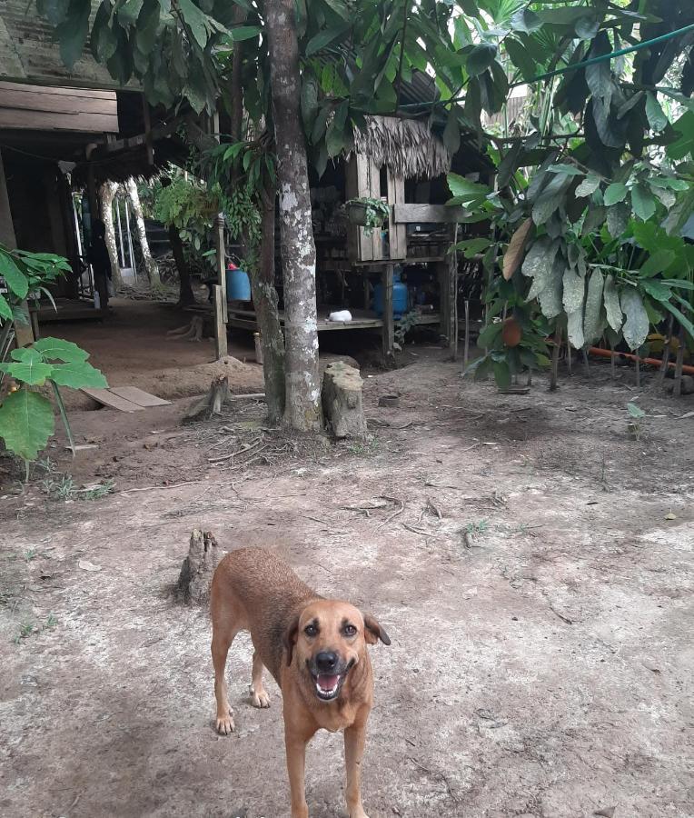 Casa Do Xingu Apartment Leticia Ngoại thất bức ảnh