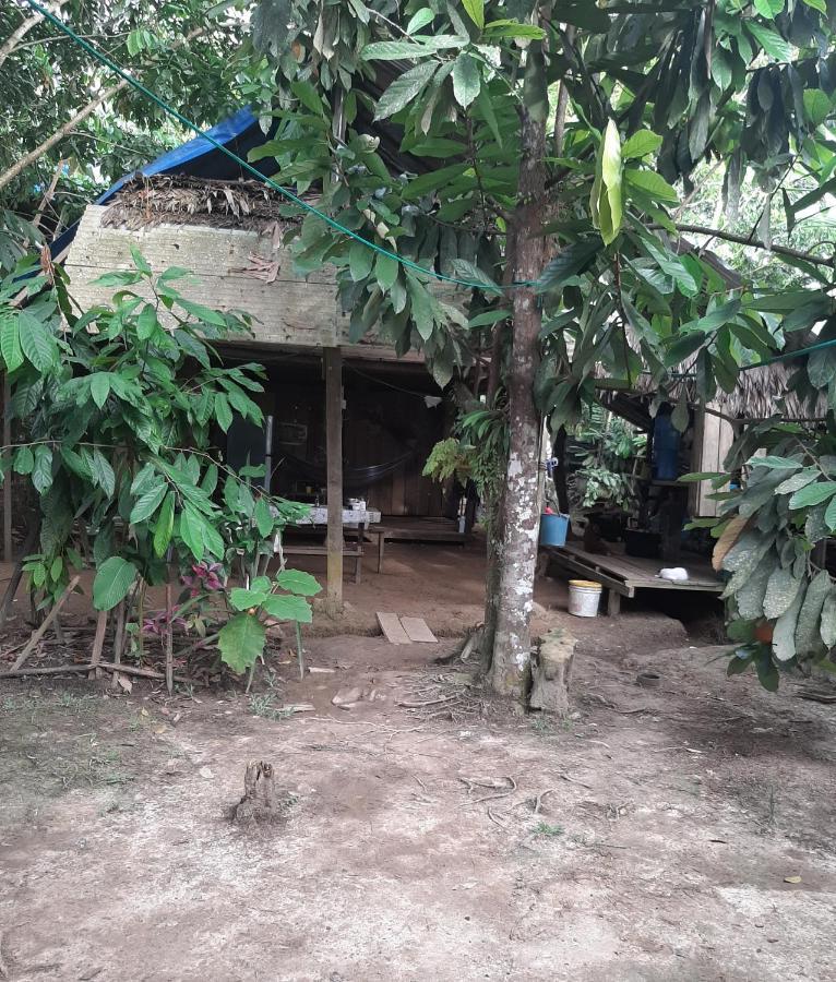 Casa Do Xingu Apartment Leticia Ngoại thất bức ảnh
